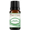 Organic Eucalyptus Essential Oil