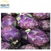 Violet Artichoke, Mediterranean Fresh Artichoke , New Harvest 2019