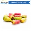 Prickly Pear , Mediterranean Fresh Cactus Fruit ,2019 New Harvest