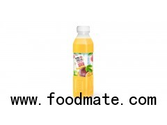 Tropical Fruit Passion Pet Bottle 500ml