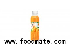 Tropical Fruit Orange Pet Bottle 500ml