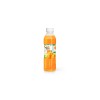 Tropical Fruit Orange Pet Bottle 500ml