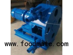 RGB Industrial peristaltic pump hose pump high viscosity slurry pump