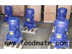 IRG vertical inline hot water pump