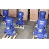 IRG vertical inline hot water pump