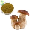 boletus edulis extract/pure boletus edulis powder/best price boletus edulis p.e.