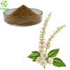 Cimicifuga Racemosa Extract Powder Black Cohosh Rhizome Extract with Triterpenes