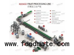 mango processing line mango pulp juice production line