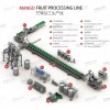 mango processing line mango pulp juice production line