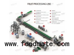 mango peach apricot jam production line