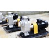 ZXP Stainless steel self priming pump