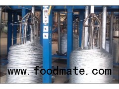 Galvanized Iron Wire