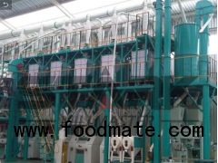 100T 150T 200TLow fat Posho Mill machine manufacture