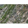 Trellis Netting