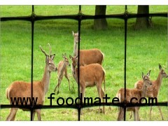 Plastic Mesh Deer Fence