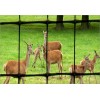 Plastic Mesh Deer Fence