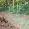 Plastic Mesh Deer Fence