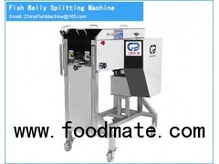 Fish fillet cutting machine-Fish processing machinery