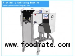 Fish fillet cutting machine Catfish-Mackerel-Salmon-Flounder-Trout-Tilapia