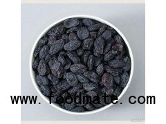 Black raisin