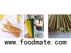 Biodegradable rice straw eco friendly bamboo straw Organic Bamboo Drinking Straw Making Machine