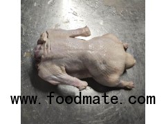 Halal Whole Duck