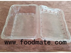 Disposable PET lunch boxes Manufacturer