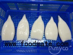 Squid tube and ring, squid supplier/producer/factory/plant