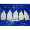 Squid tube and ring, squid supplier/producer/factory/plant