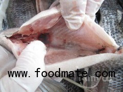 Tilapia Whole GS from tilapia producer/factory/plant in China