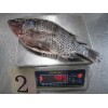 Tilapia Whole GS from China