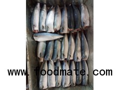 Pacific Mackerel Whole Round/HGT