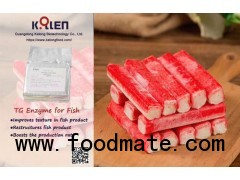 Fish product ingredient--Transglutaminase(TG)