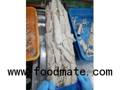 Frozen Precooked Skipjack Tuna Loins for Canning