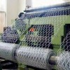 Gabion Wire Mesh Machine