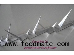 Wall spikes, pvc coated spikes, bird spikes, wall spikes fence, anti climb spikes