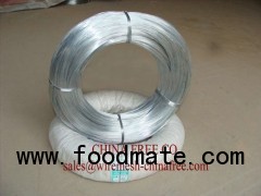 Galvanized Iron Wire - G.I wire - 镀锌丝