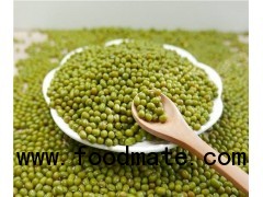 Green Mung beans