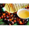 High Quality Palm Oil