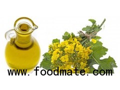 Top Quality Refined Canola Oil