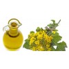Top Quality Refined Canola Oil
