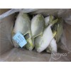 Frozen golden pomfret/pompano