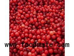 IQF Frozen Lingonberry