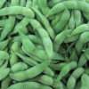 IQF Frozen Edamame