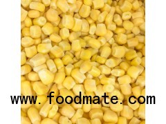 IQF Frozen Sweet Corn Kernel