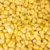 IQF Frozen Sweet Corn Kernel