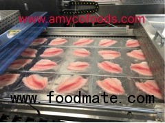 Frozen Tilapia fillets