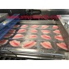 Frozen Tilapia fillets