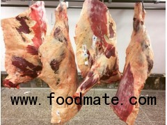 frozen meat/fresh meat