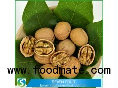 Cheap Thin Shell Walnut 500g